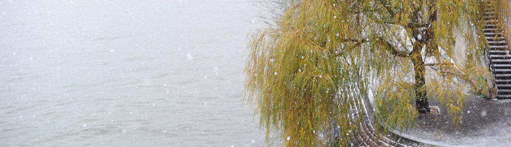 Eurocold